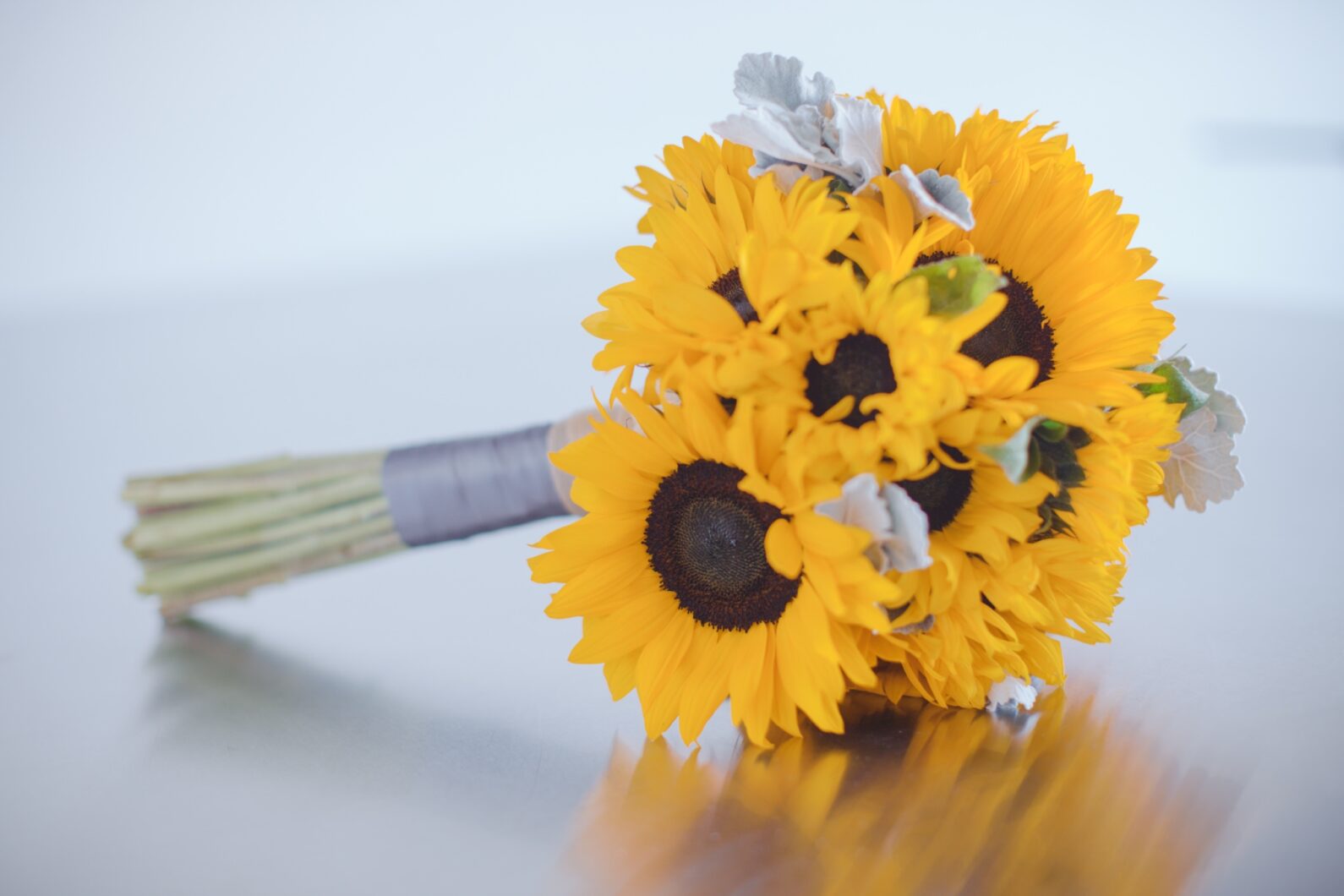 2048 Box Eight Studio Wedding Yellow Sunflower Theme 0021